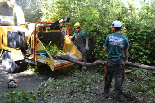 tree services Edwardsville